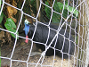 s_A_PICT0076_thumb.png